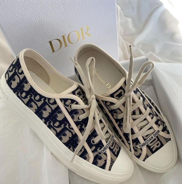 Christian Dior Monsieur WALK'N'DIOR SNEAKER