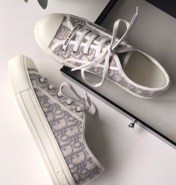 Christian Dior Monsieur WALK'N'DIOR SNEAKER